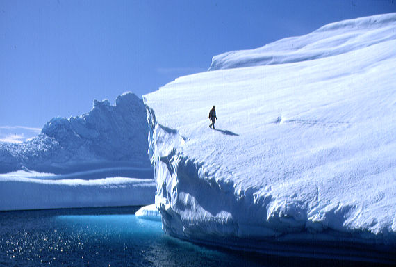 {short description of image}