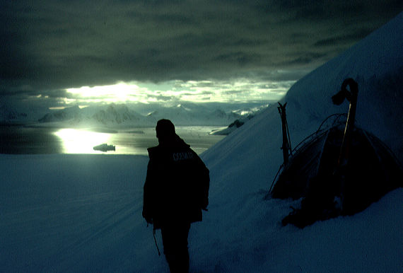 {short description of image}