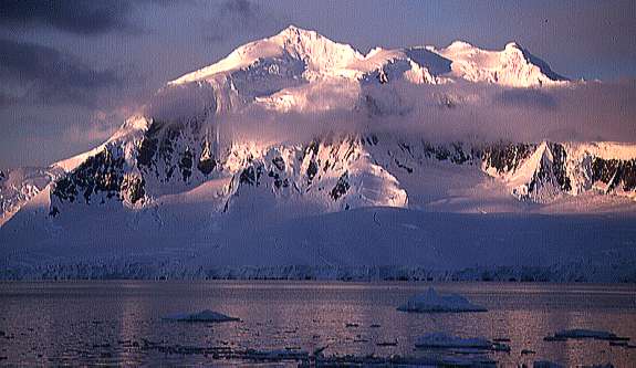 {short description of image}