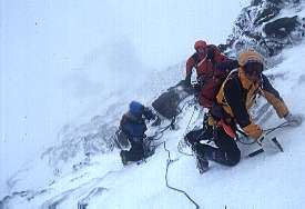 {short description of image}