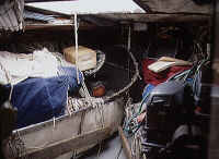 {short description of image}